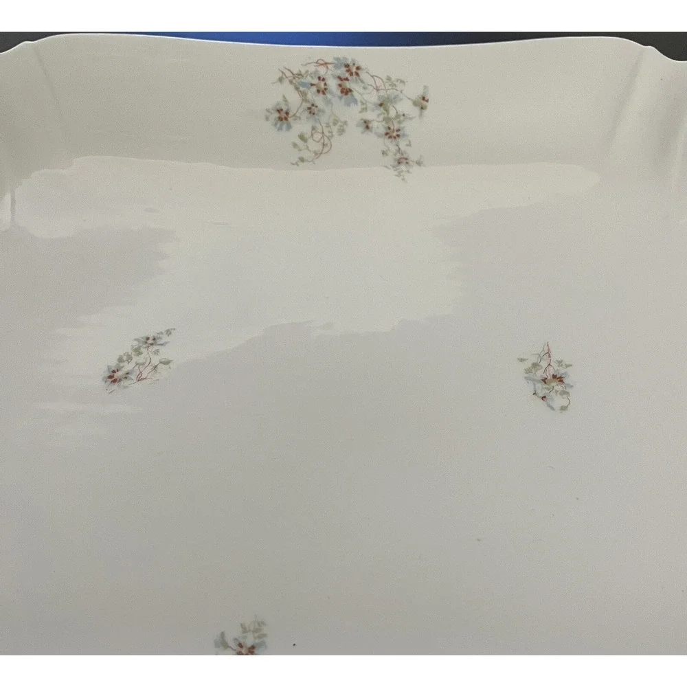 Vintage Leonard Vienna Austria Serving Platter Wildflowers Porcelain Large - 16